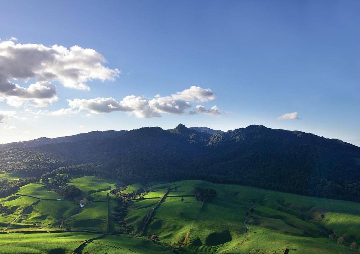Aerial view of Maungatautari rising above green farmland