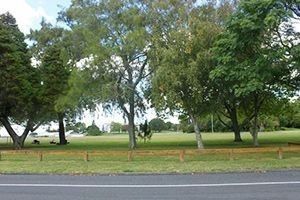181 Knighton Road, Ruakura/University of Waikato | Units | Property Development Hamilton