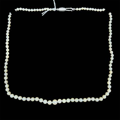 A8265 - Threaded Graded Pearl Necklace Akoya