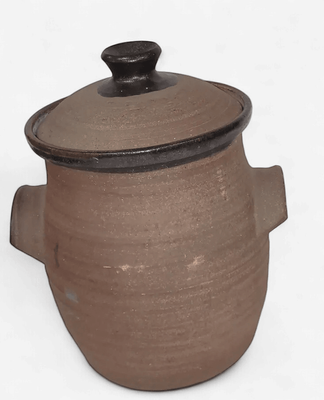 Earthenware  Pottery Urn
