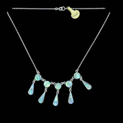 A6669 - SS Paua Drop Necklace