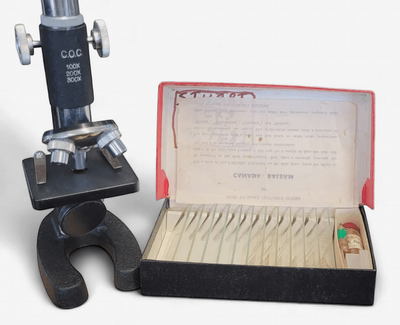 Microscope and Slides