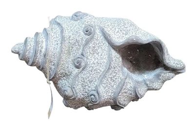 Concrete Conch Shell