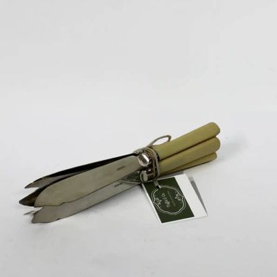 6x Bone Handled Fish Knives EPNS