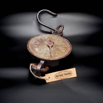 Large Salter Scales