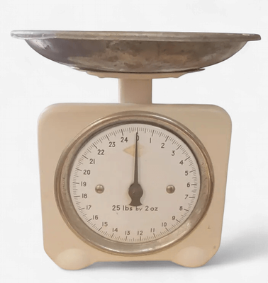 Scales with Enamel Face