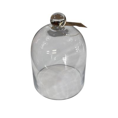 Glass Cloche No.3