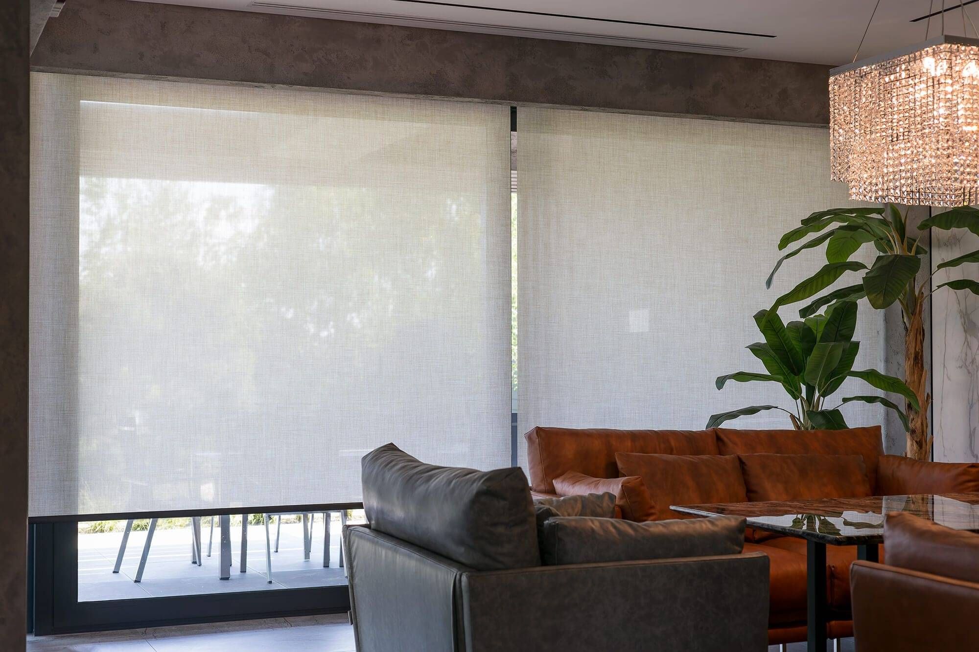Sunscreen roller blind filtering natural light