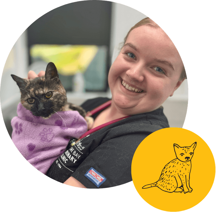 welcome bay vet nurse cuddling a cat
