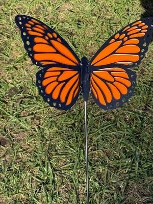 Open-wing Butterflies