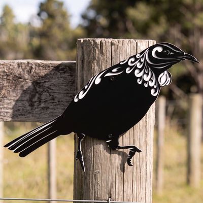 Tui in Black and White