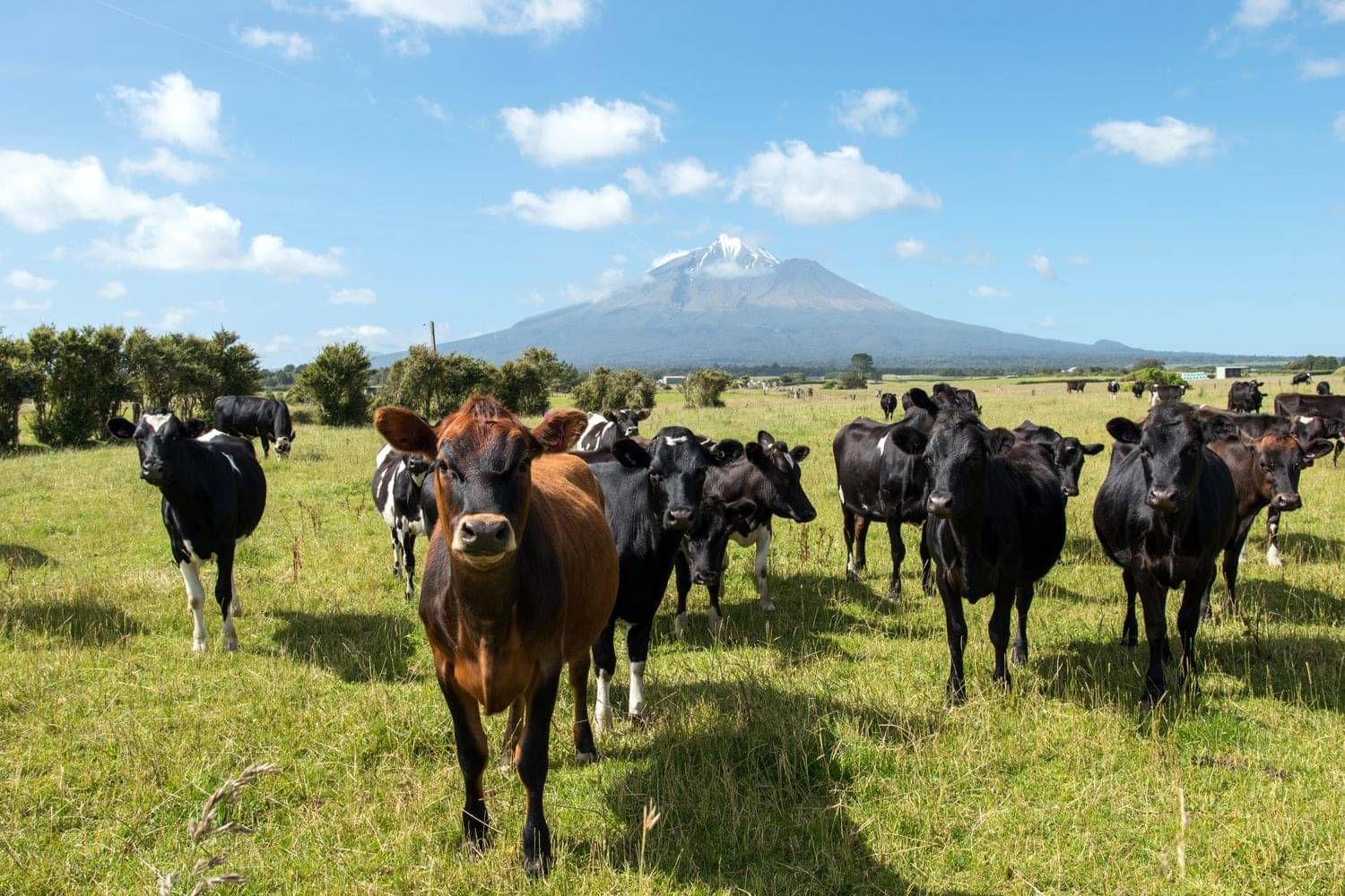 CheckSafe competency management for workers in agriculture