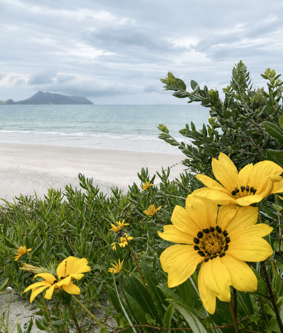 Flowers for a quiet cremation farewell at Whittakers Funerals Northland