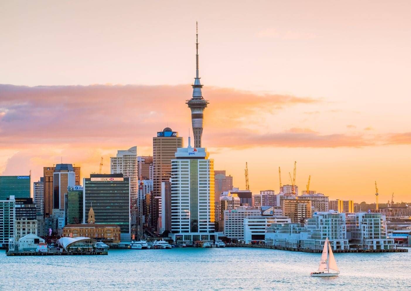 Auckland waterfront and Sky Tower, where many graduates begin their working lives