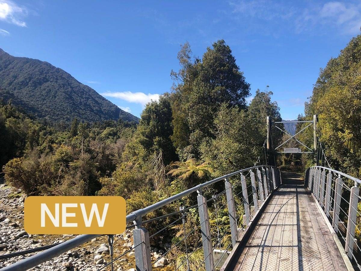 Wilderness coastlines and vines guided tour with Pacific Cycle Tours in New Zealand