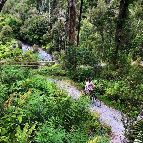 Zooming through the trails of the Wilderness, Coastlines & Vines  Guided tour
