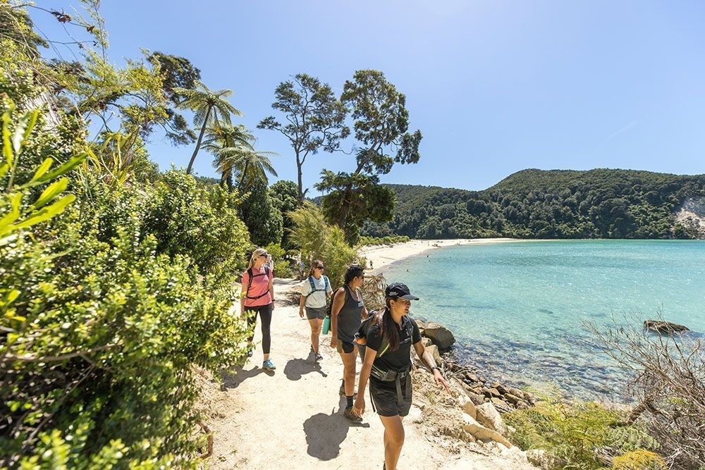 Walking Abel Tasman Park can be a part of the Wilderness, Coastlines & Vines Tour