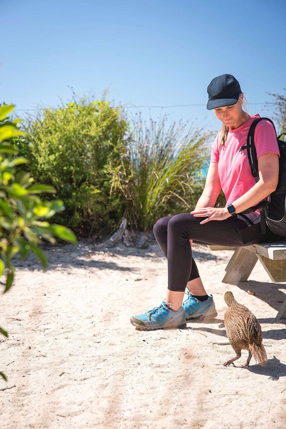 Looking at wildlife along the Wilderness, Coastlines & Vines Tour