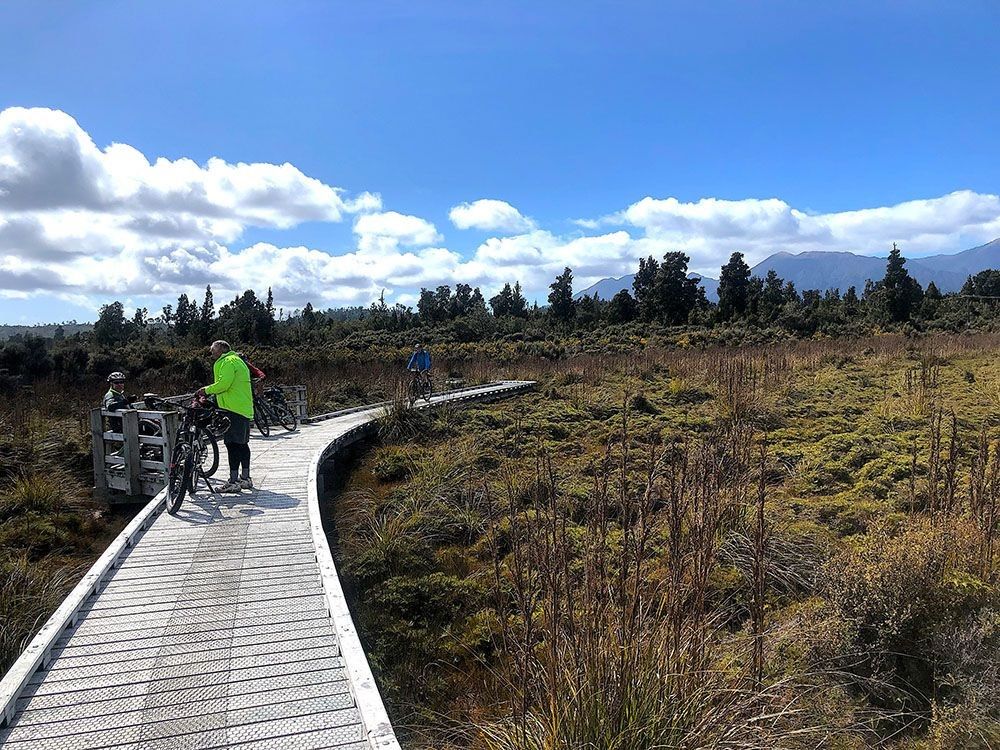 The boardwalks along the West Coast Wilderness Trail
