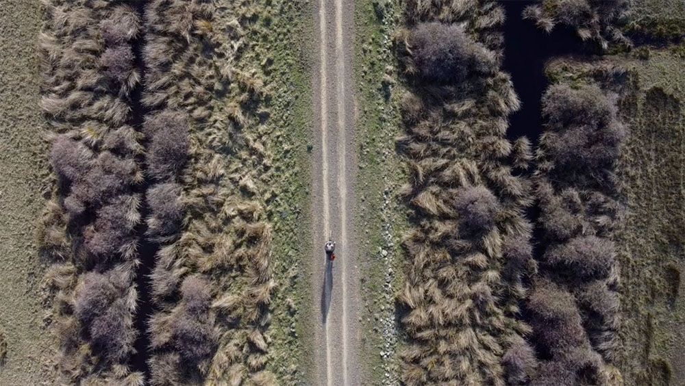 Aerial view of a rider along the Little River Rail Trail