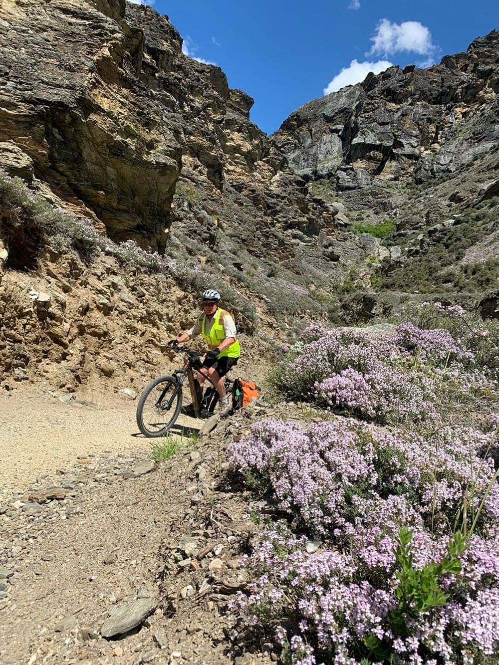 Mountain biker riding up the hill of New Zealands best trails