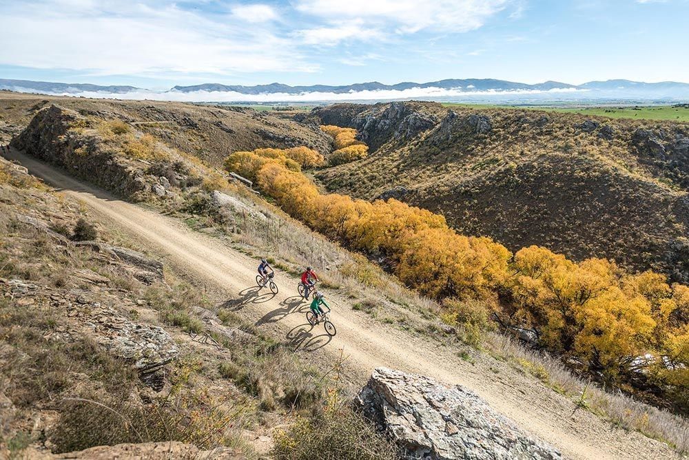 Group of riders along the Otago Rail Trail