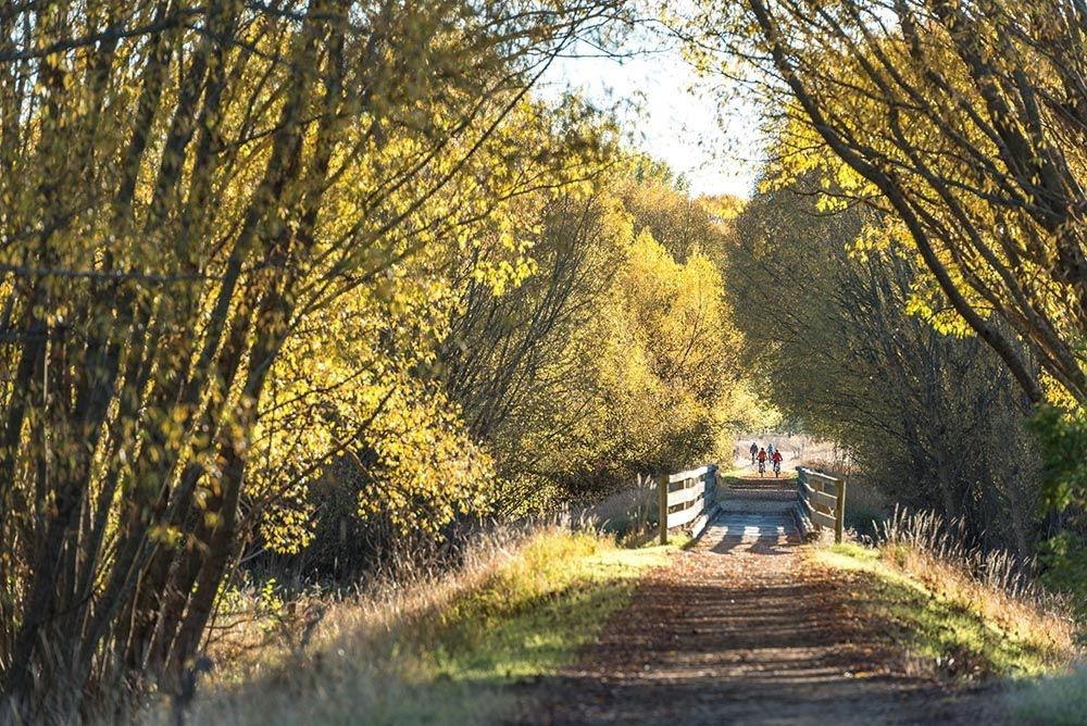One of the many bridges along the Otago Rail Trail