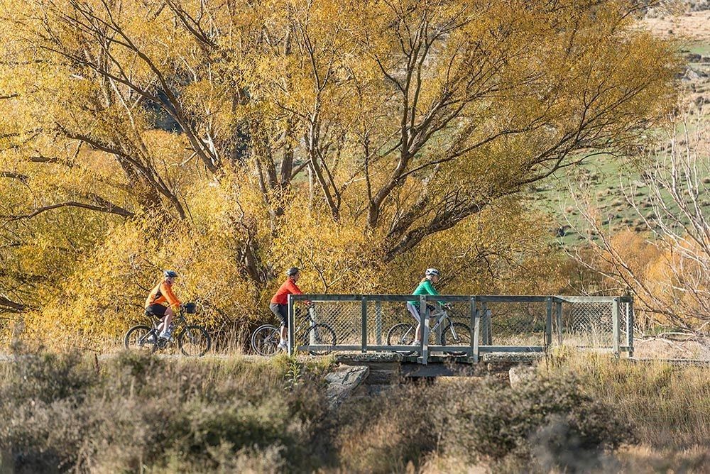 Autumn trees and bridges along the Otago Rail Trail