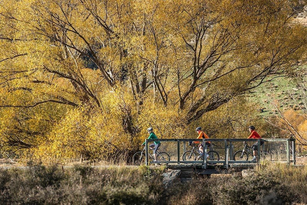 Riding the Autumn bridges of the Otago Central Rail Trail