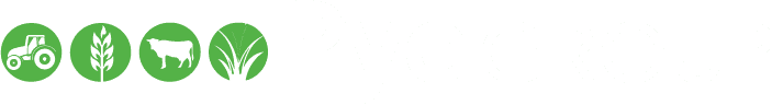 Pye Group logo