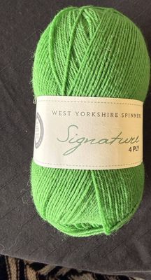 Signature 4 Ply Sock Wool Chocolate Lime 395