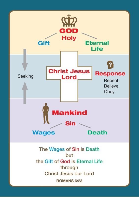 Gift of Life Diagram