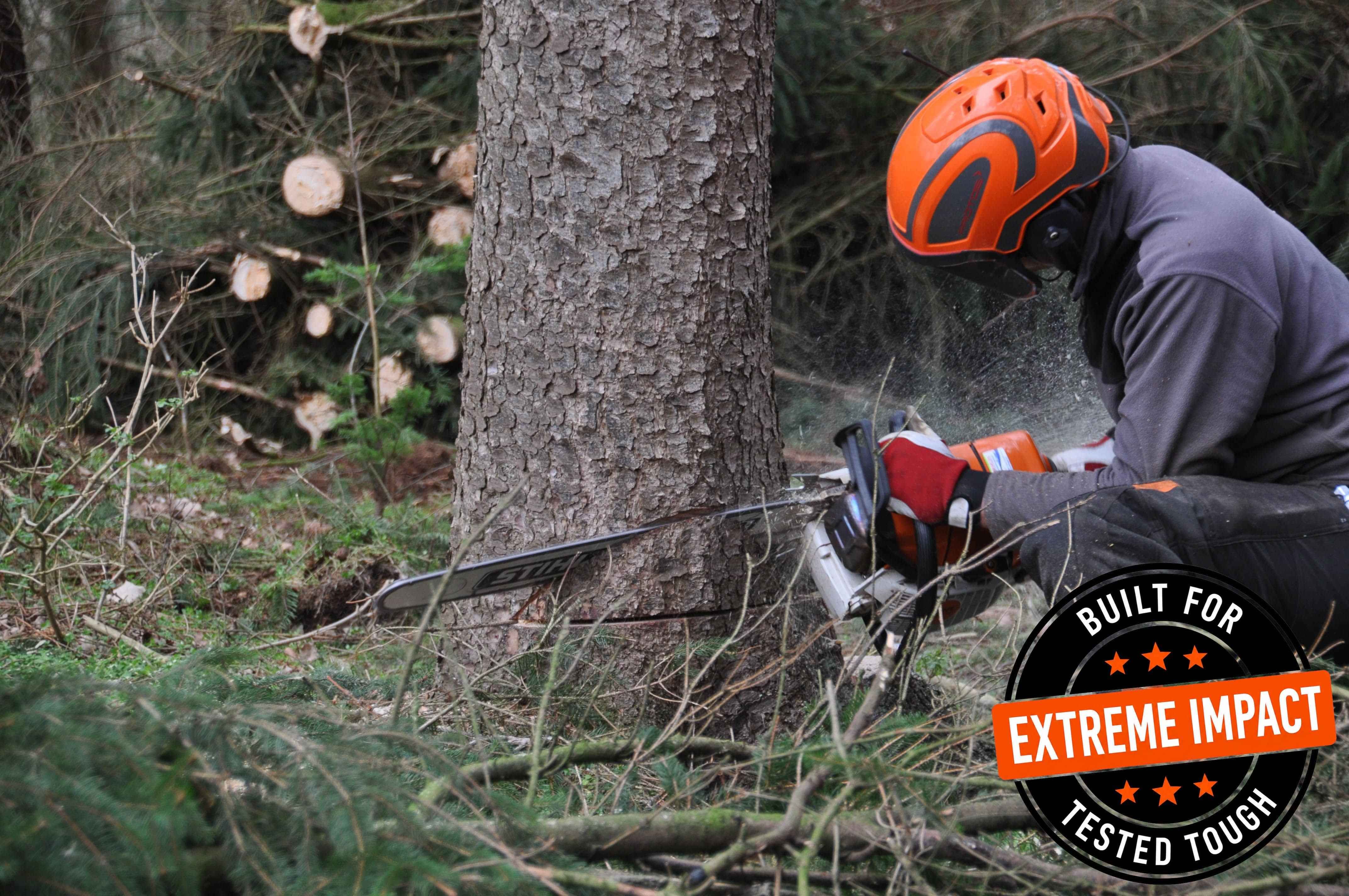 Tree felling