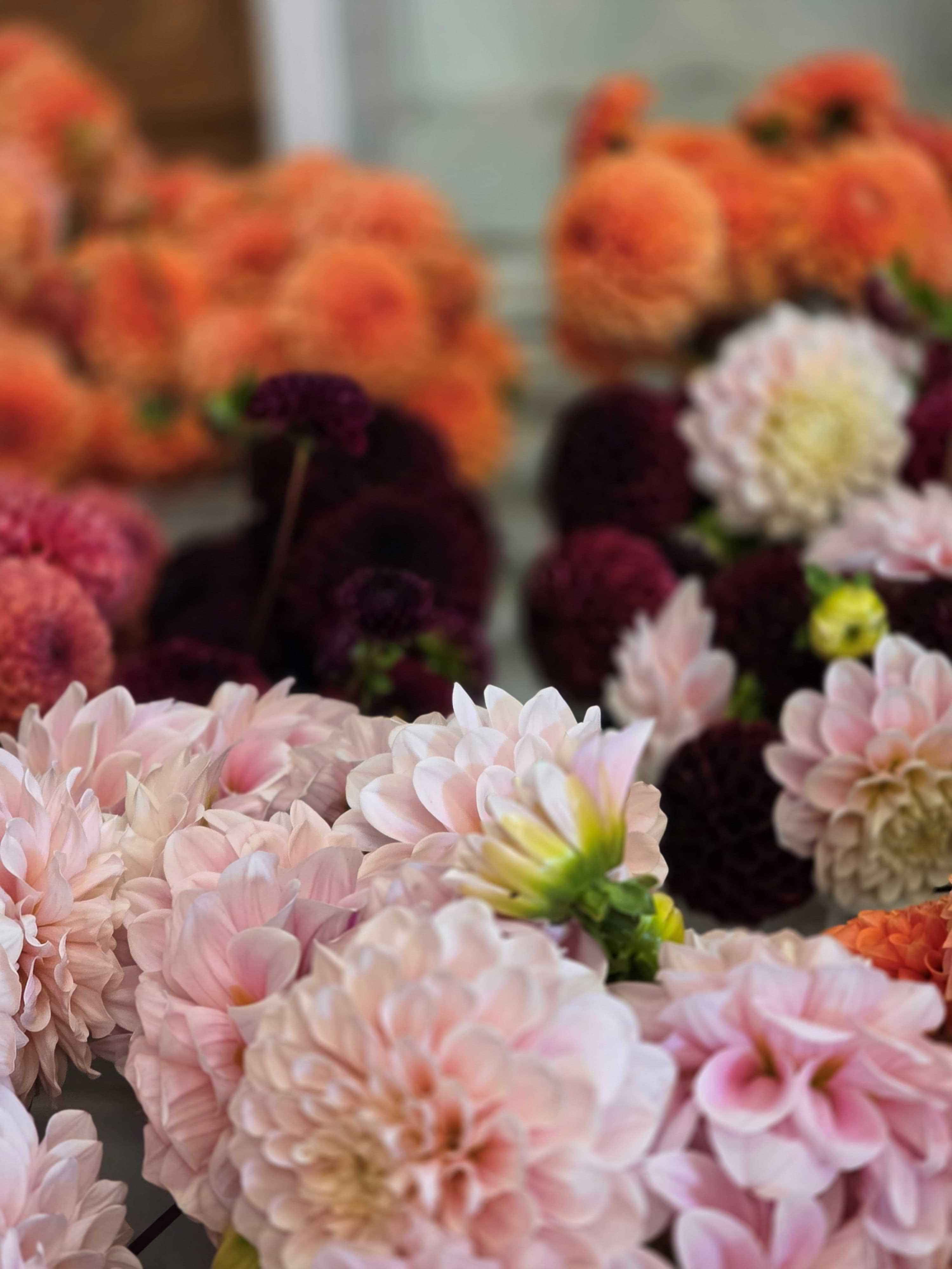 seasonal flowers