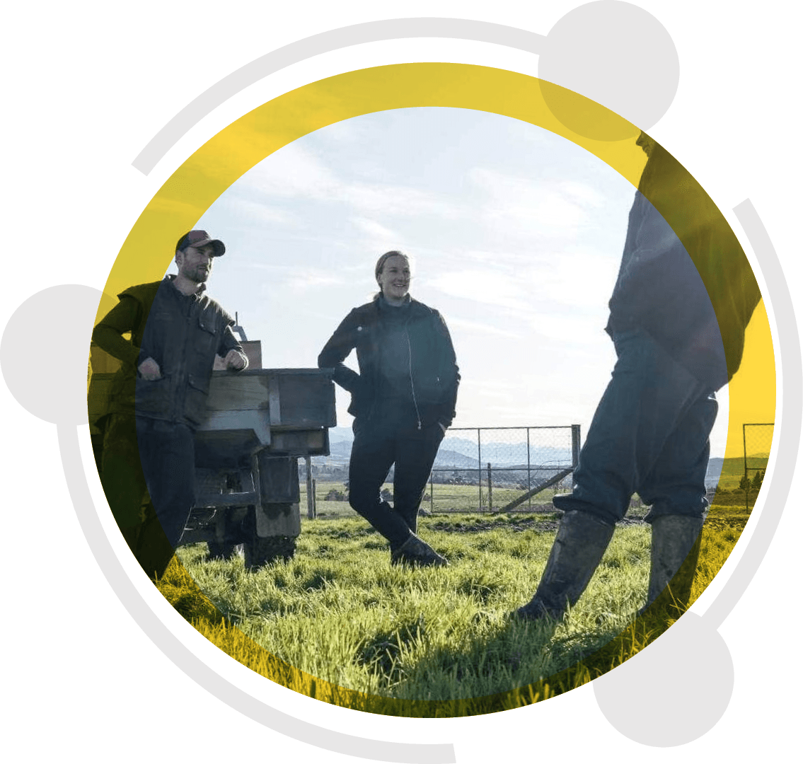 Farmland in South Canterbury where Ezykonect delivers rural broadband to homes and farms